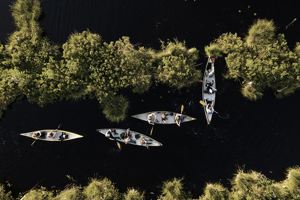 aerial view of several canoes