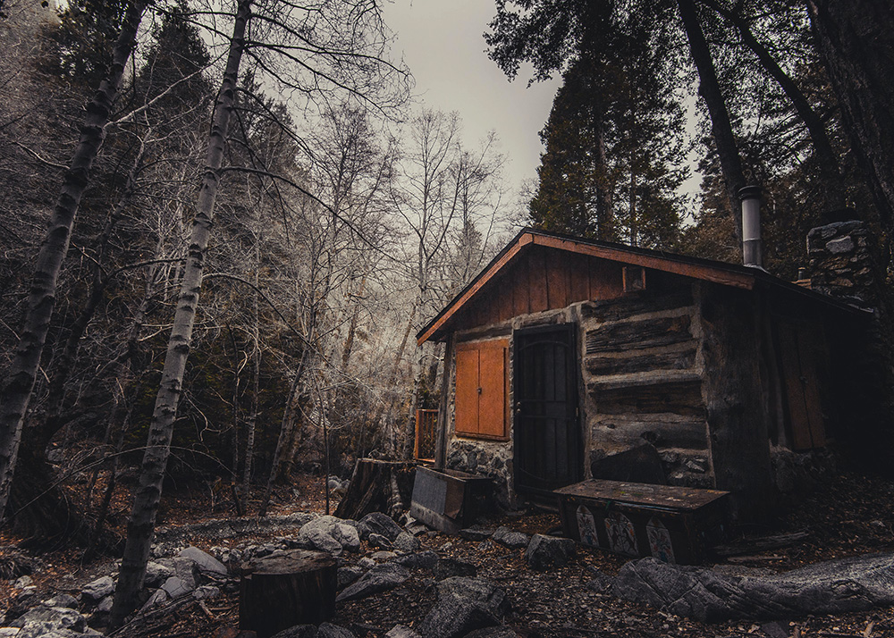 Cabin in the Woods